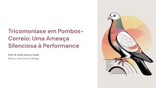 Trichomoniasis in Racing Pigeons #profilology #animals #biology #vet #pigeons