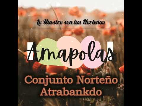 Amapolas - Conjunto Norteño Atrabankdo