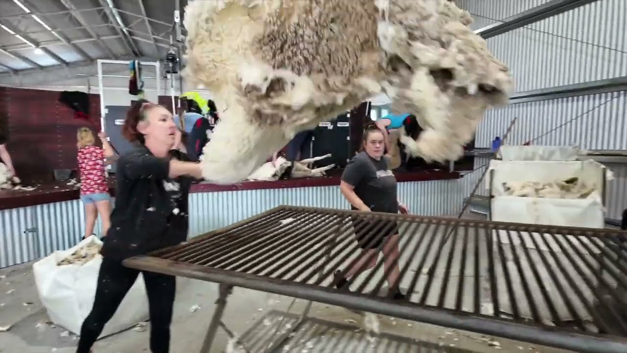 Hinkley Shearing Shed – Agricultural Case Study