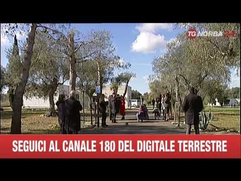 ARNESANO CENTRO SOCIALE MINORI