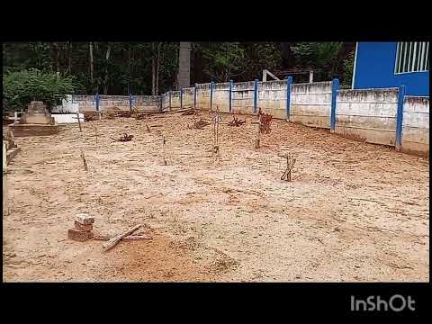 Memórias Cemitério Lanças Jaguariaíva Paraná 