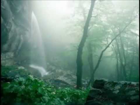 Hip Hop Tuga Double Dragon - Sentimentos -