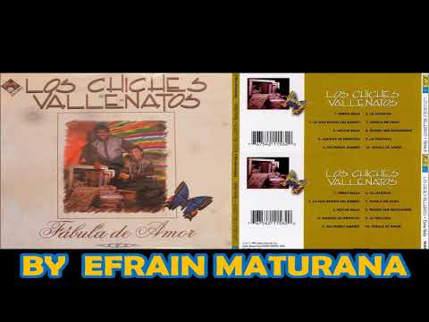 TENDRÉ QUE RESIGNARME - AMIN MARTINEZ ( CON LOS CHICHES VALLENATOS)