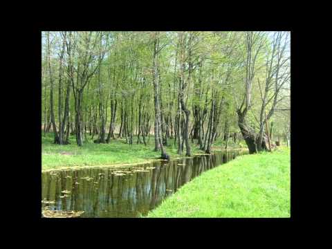 Zaspal Janko - Tamburaški sastav Braća Hobaj