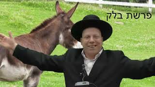 הרב ליאור גלזר   יביע אומר  פרשת בלק 🔥 🔥