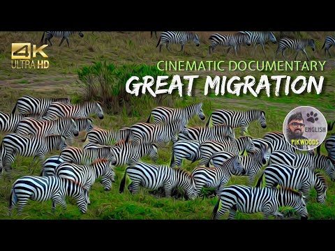 Great Migration in Africa | Documentary of Masai Mara Migration | Kenya Safari story in English