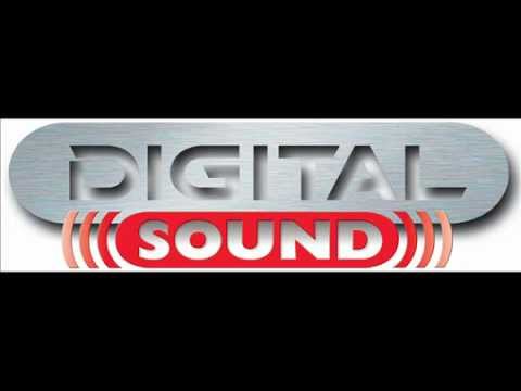 Digital Sound   -  Get The Fuck (I`m a Bitch)