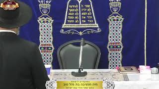 בית המדרש "תורת דוד" ¤ שידור חי ¤ כ"ו כסלו תשפ"ו (16.12.2025) (מוסדות תורת דוד) - התמונה מוצגת ישירות מתוך אתר האינטרנט יוטיוב. זכויות היוצרים בתמונה שייכות ליוצרה. קישור קרדיט למקור התוכן נמצא בתוך דף הסרטון