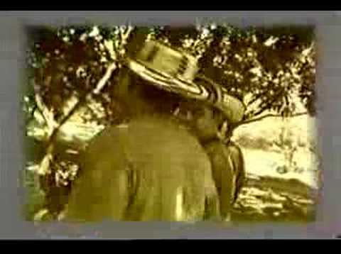 Los 50 De Joselito - La Araña Picua