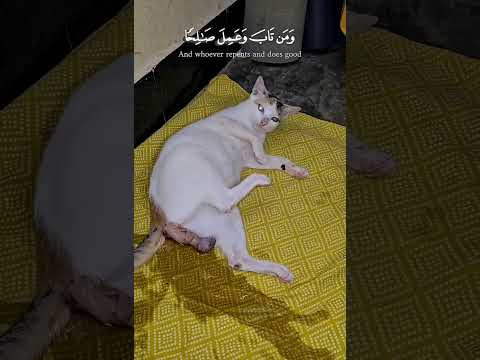 اكسبلور#cute#تحشيش#baby#السعوديه#ترندولده#cutebaby #ورك#شلتنا