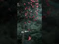 En Kanavil Nin Mizhikalum Malayalam Viral Music Shorts Whatsappstatus Status