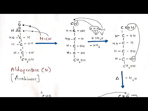 CHAPTER CARBOHYDRATES part 1 BIOCHEMISTRY BY PHANINDRA GUPTA