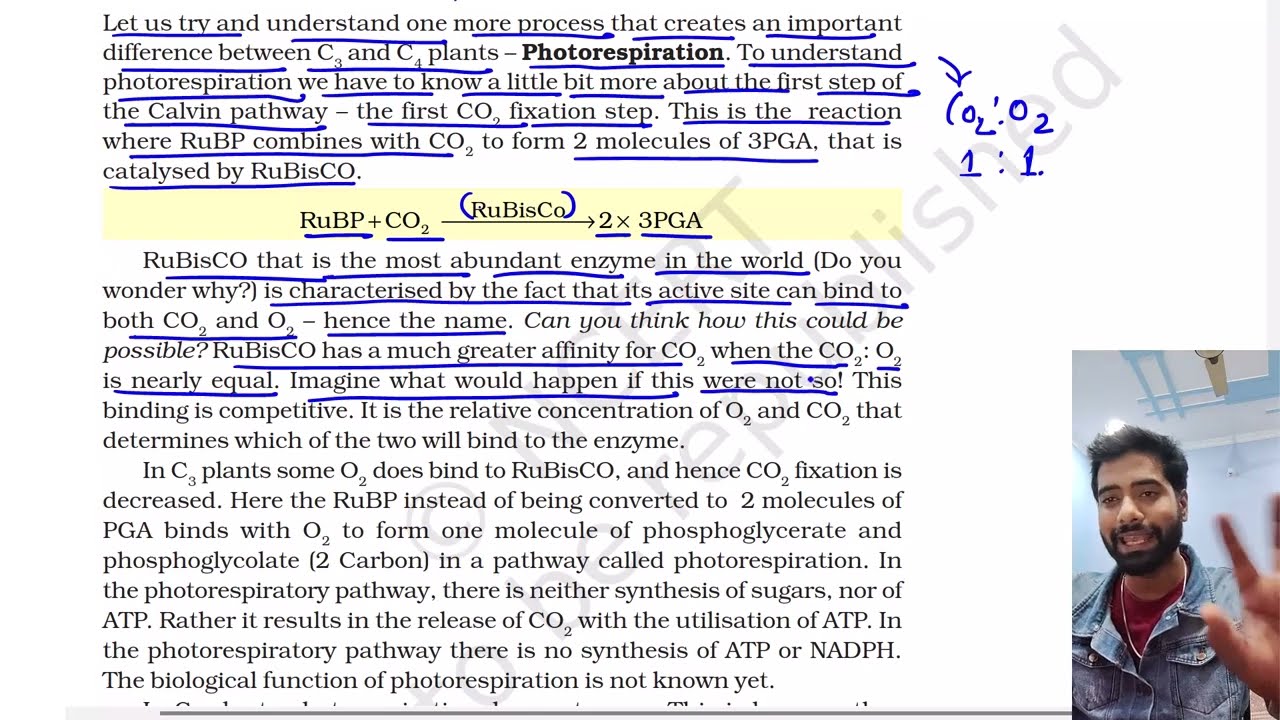 Part 14 , Photorespiration, Photosynthesis in higher plants class 11th Biology Ncert lines by line
