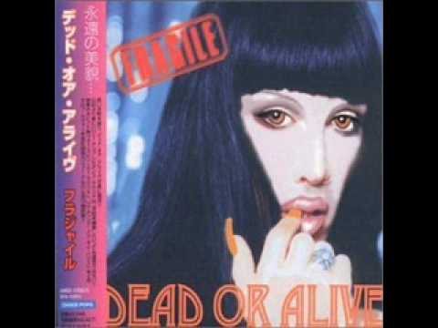 download lagu mp3 mp4 Dead Or Alive I Promised Myself, download lagu Dead Or Alive I Promised Myself gratis, unduh video klip Dead Or Alive I Promised Myself