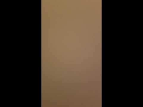 Logos summer 2016(5)