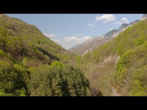 Păduri de stat în Parcul Național Domogled - Valea Cernei din cadrul Romsilva