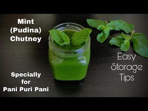 pani puri pani ni recipe | pani puri water recipe | pudina chutney recipe | pani puri recipe