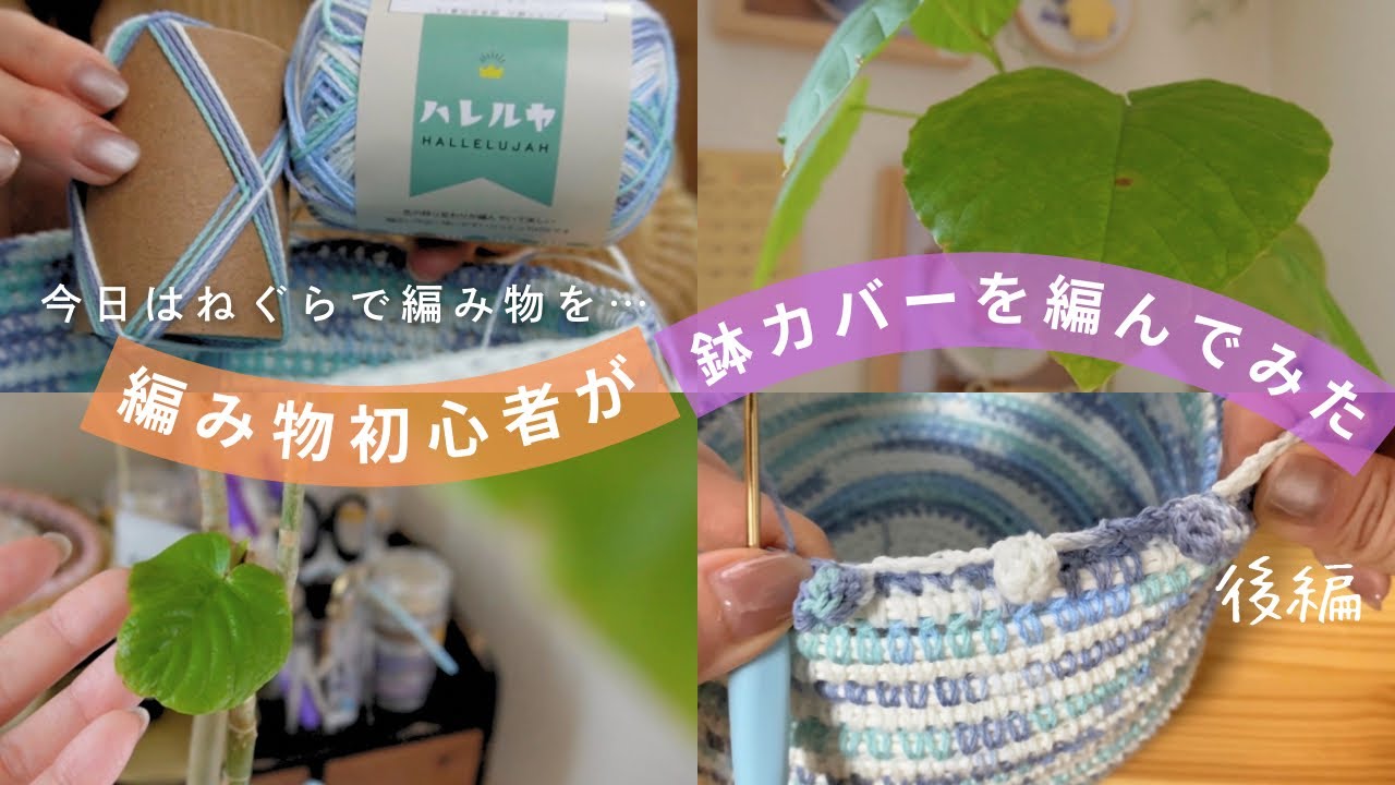 今日はねぐらで編み物を…🧶編み物初心者🔰が作る鉢カバー（後編）
