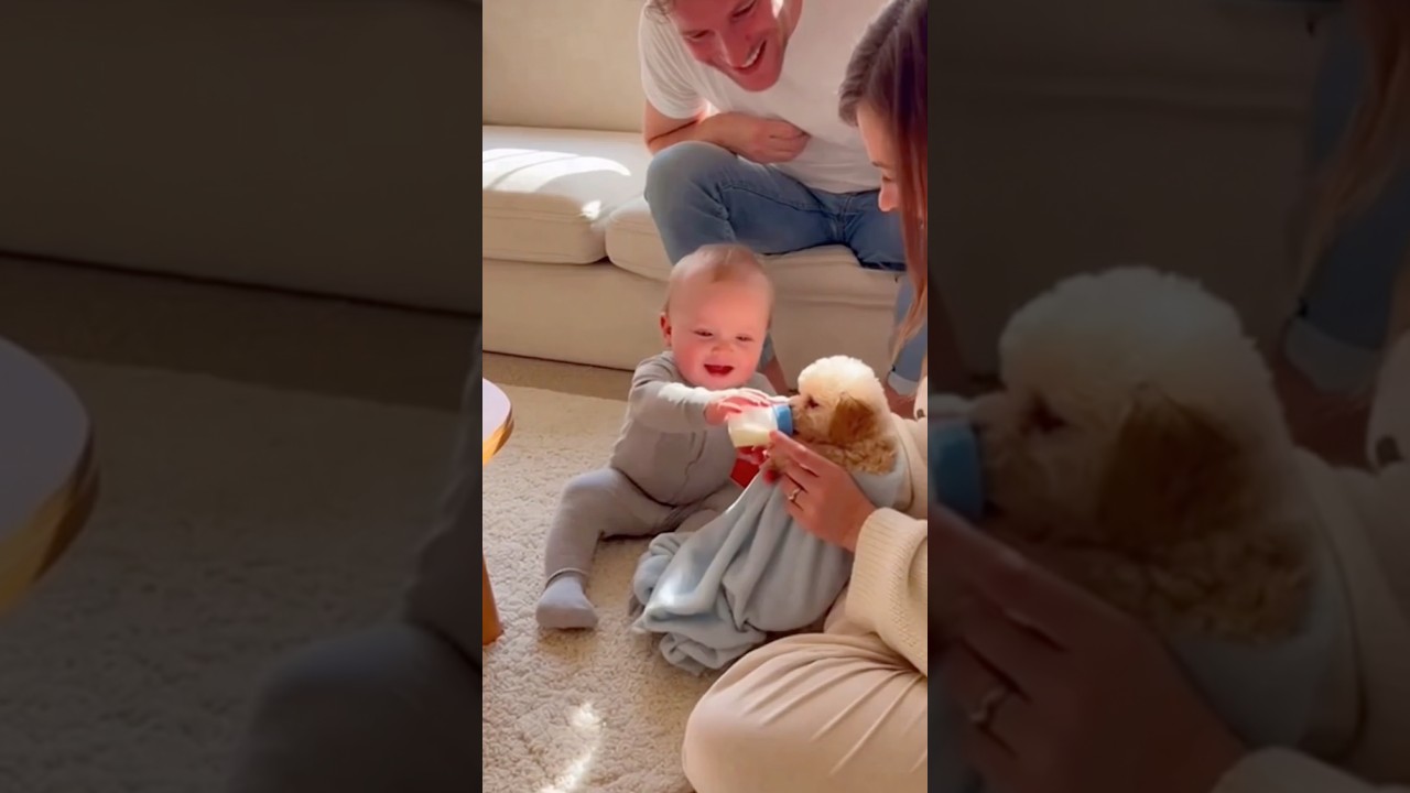 【尊い】赤ちゃんが産まれたてのトイプードルに初めてのミルクをあげた瞬間…🥹🐶👶 The Sweetest First Milk Moment… A Baby & Newborn Puppy