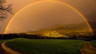 Königlich von Marie Wegener