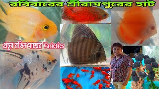 রবিবারের শ্রীরামপুর Colour Fish হাট | Aquarium Fish Price Haat | Pet Market Shrirampur 