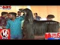Bithiri Sathi Funny Conversation Over Dog Show In Tamil Nadu Teenmaar News