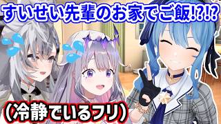みこち先輩の一言ですいせい先輩の家にお邪魔することになり、表向きは平静を装うも内心パニックなビブーさん【ホロライブ切り抜き/古石ビジュー/星街すいせい】