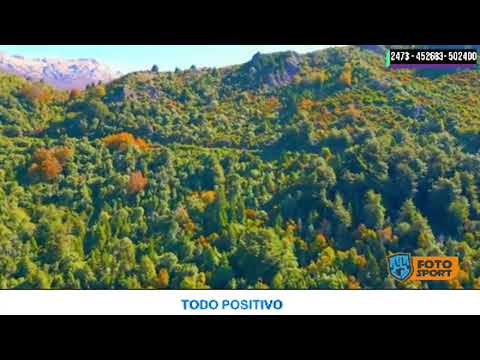 EN VIVO 🔴TODO POSITIVO 26 MARZO