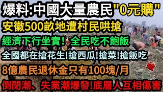 [討論] 藍白兩黨的嘴臉跟0元購中國大媽一樣