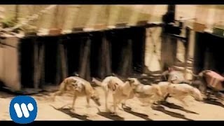Loquillo Y Los Trogloditas - El hijo de nadie (video clip)