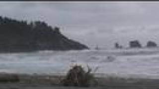 Peeling Away the Layers