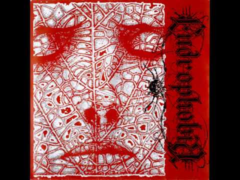 Endrophobia - ep 7'' (2003)