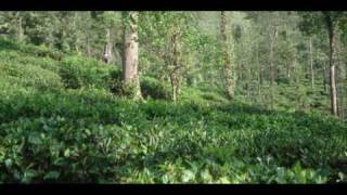 preview picture of video 'India Tamil Nadu Devala Amberina India Hotels India Travel Ecotourism Travel To Care'