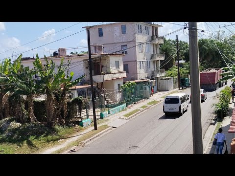 ¡LEO de CUBA 🇨🇺 (Lunes) Regla la Habana 