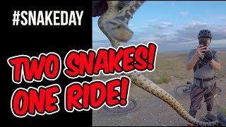 It was World Snake Day.  We were in the desert watching the sun set over a sea of rocks and a pastel sky.  Then we find not only one, but TWO snakes on this ride!  And I got to experience all this with one of my sons.  It doesn't get any better than that.