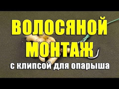 Волосяной монтаж с клипсой для опарыша. Карповая клипса для опарыша из Китая