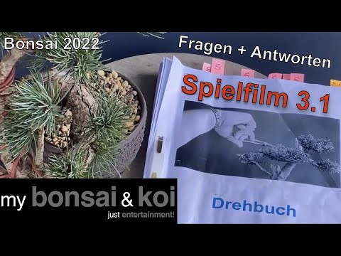 Bonsai 2022-66 - Spielfilm 3.1