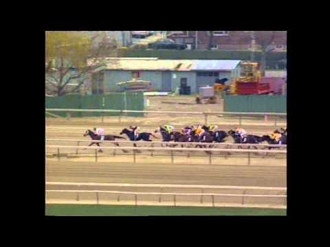 Devil His Due - 1992 G1 Wood Memorial