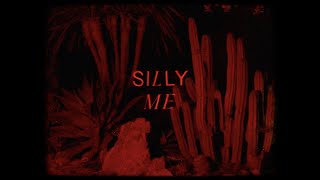 Jess Glynne - Silly Me (Lyric Video)