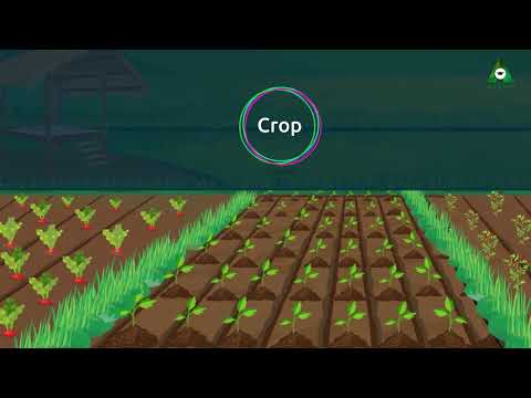 AARSHI l Class 8 Science: Crop production & Management - Types of Crops | Agricultural practices