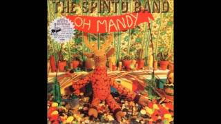 The Spinto Band - Oh Mandy