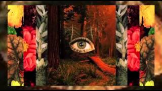 White Arrows - Roll Forever - Lyric Video