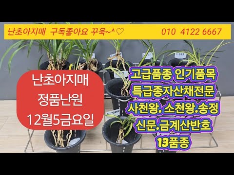유튜브 썸네일
