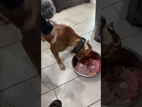 Feeding time!! Guides available