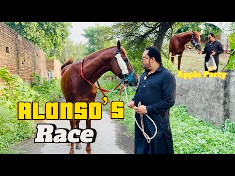 Met Alanso Alhamdulillah😍Alanso nay pehchana?(Mian Saqib)