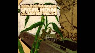 MF DOOM -Secret Herbs &amp; Spices Beat 3 (Humrush)