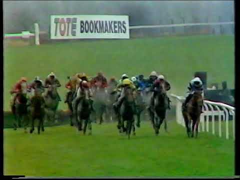 1989 Daily Express Triumph Hurdle  Ikdam