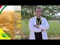 titolo video