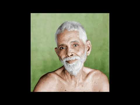 Brahmacharya, Self-Realisation & Grace | Ramana Maharshi Talks 491–497 (37 min)