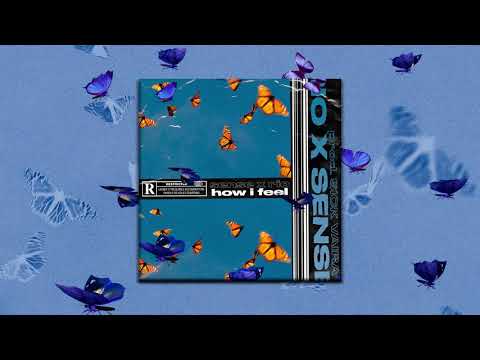 SENSE X RIO - HOW I FEEL (Prod. Sick Vaira)